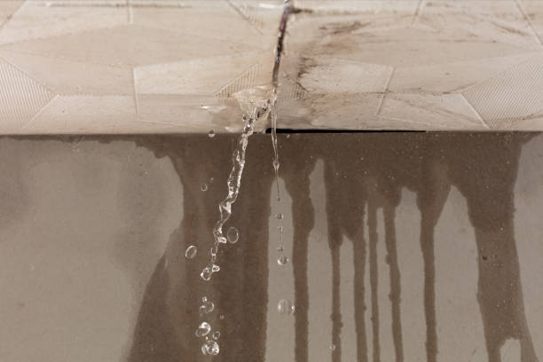 Professional Water Damage Inspection technician working in Fort Hunter, NY